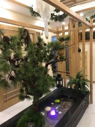 -芳朵美容养生SPA