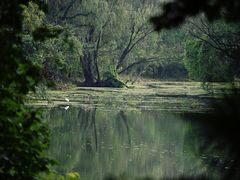 -昆山城市生态森林公园