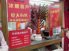 -和禄德冰糖葫芦