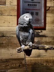 -Zoolung Zoolung动物主题公园(海信广场店)