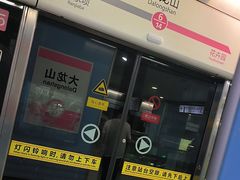 -大龙山(地铁站)