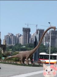 -恐龙探索乐园(磁器口店)