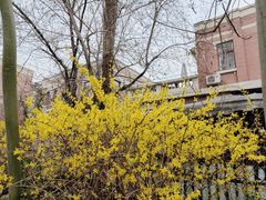 -天津五大道文化旅游区