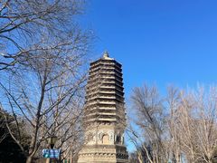 -玲珑塔公园