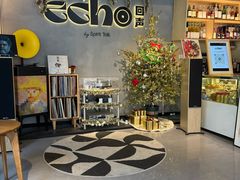 -Echo回声黑胶唱片咖啡馆