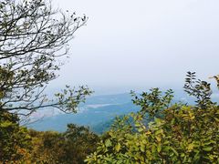 -紫金山山顶公园