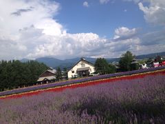 -富田农场