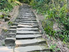 -缙云山景区