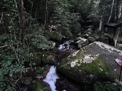 -炎陵县神农谷国家森林公园