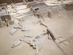 -洛阳周王城天子驾六博物馆