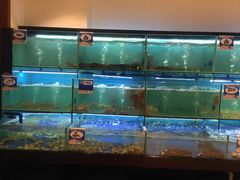 水产区-南海渔家•海鲜•正宗海南菜(海棠湾店)