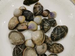 -东疆理想海岸沙滩景区