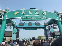 -荷兰花海