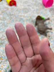 -爱丽丝奇幻乐园