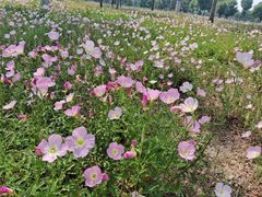 -汉长安城未央宫国家考古遗址公园