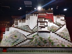 -青海藏文化博物院