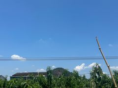 -老袁家蜜桃农场·阳山水蜜桃