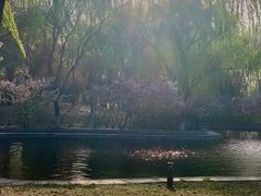 -石家庄市植物园
