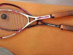 -健身专家Wellness Experts