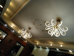 -小齐发型Star·Salon