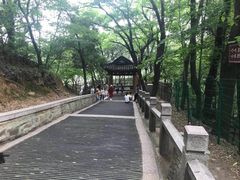 -灵岩山风景区