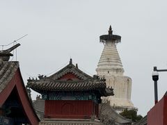 -杏园餐厅(阜成门店)