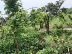 -驿舍·民國老营房院子私房菜(科学会堂店)