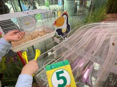-正佳雨林生态植物园