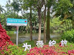 -深圳野生动物园