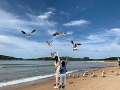 -海驴岛(荣成市)