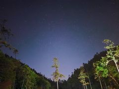 -武陵山森林公园