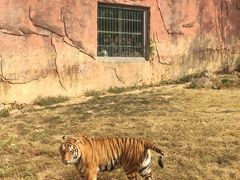 -无锡动物园·太湖欢乐园