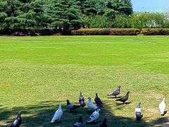 -上海大学(宝山校区)