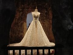 -云境生态园(高新旗舰店)