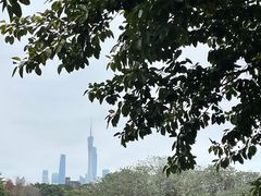 -海珠湖公园