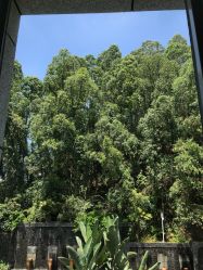点击看大图 -禧月荟·爱丽馨月子中心(山庄店)