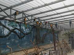 -泉州海丝野生动物世界