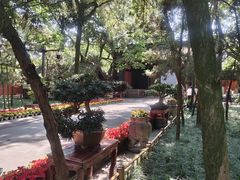 -成都武侯祠博物馆