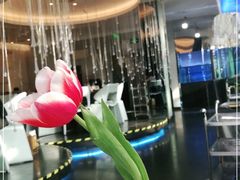 -王家渡火锅店(棕榈泉店)