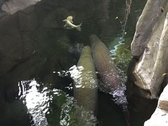 -青青世界