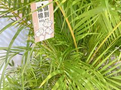 -杭州来福士中心