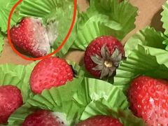 -鲜力达果品批发直销(无锡保利香槟店)