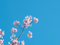 -新江湾城公园