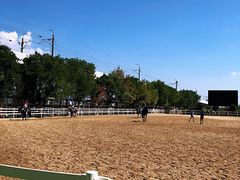 -大连凯洋马术俱乐部有限公司