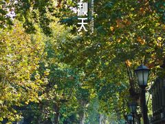 -莫干山风景区