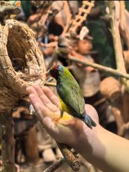 -Zoolung Zoolung动物主题公园(海信广场店)