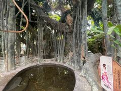 -龙达温泉生态城