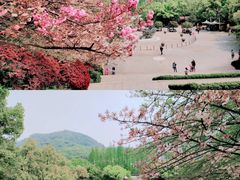 -杭州少年儿童公园
