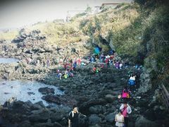 android_upload_pic-龙头岩(Dragon Head Rock)