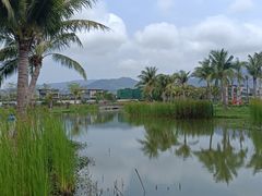 -亚龙湾国际玫瑰谷